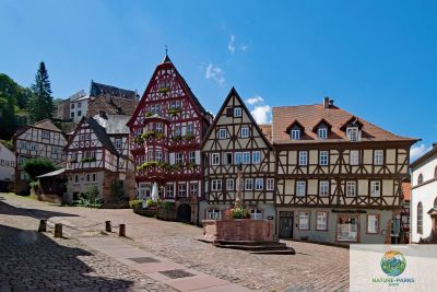 Miltenberg Odenwald Centre

