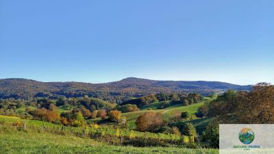 Odenwald
