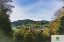 Filename=Heiligkreuzsteinach.jpg
Filesize=1021KiB
Dimensions=1920x1280
Date added=Aug 04, 2026 Heiligkreuzsteinach.jpg